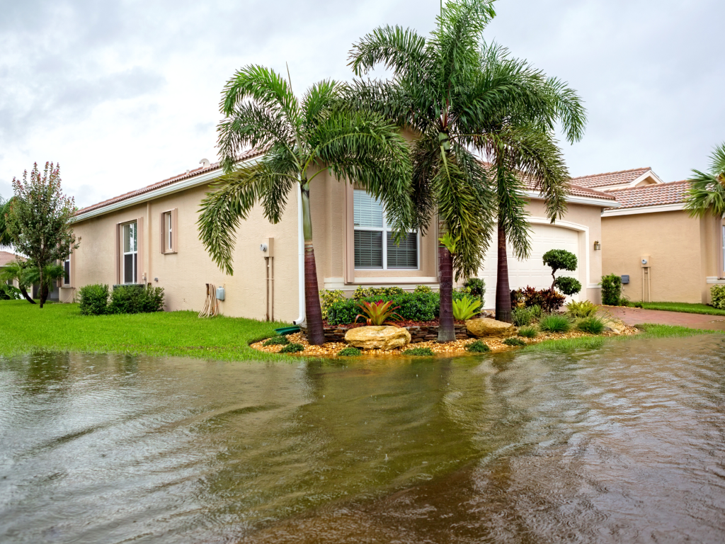 water damage restoration carlisle ar