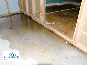water damage carlisle ar